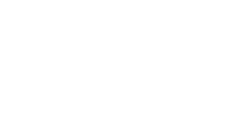 vipconnectlogo